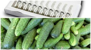 Maskenrezepte zur Verjüngung der Haut der Hände.